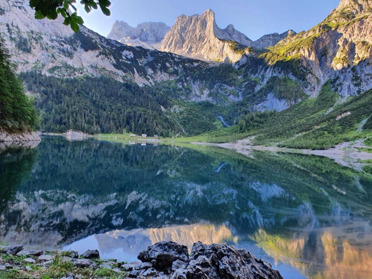 Ferienhaus Waldglueck Gosau Dış mekan fotoğraf